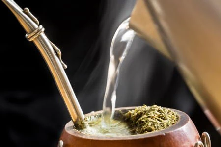 propiedades y beneficios de la yerba mate